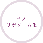 ナノ リポソーム化