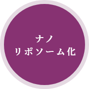 ナノリポソーム化